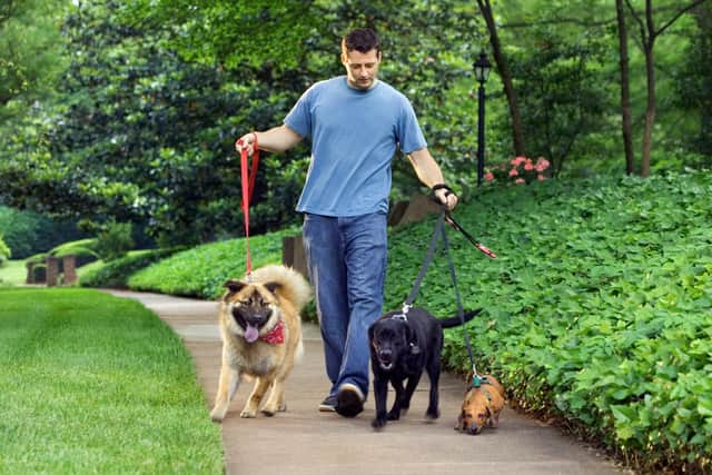 Generic dog-walker for MSPCA page in IoM Courier