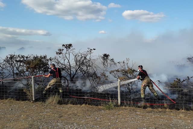 Fire at Warsash nature reserve on July 15, 2022. Picture by Mike Joyce
