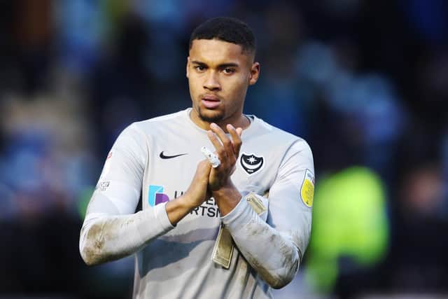 Gavin Bazunu. Picture: Joe Pepler