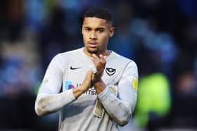 Gavin Bazunu. Picture: Joe Pepler