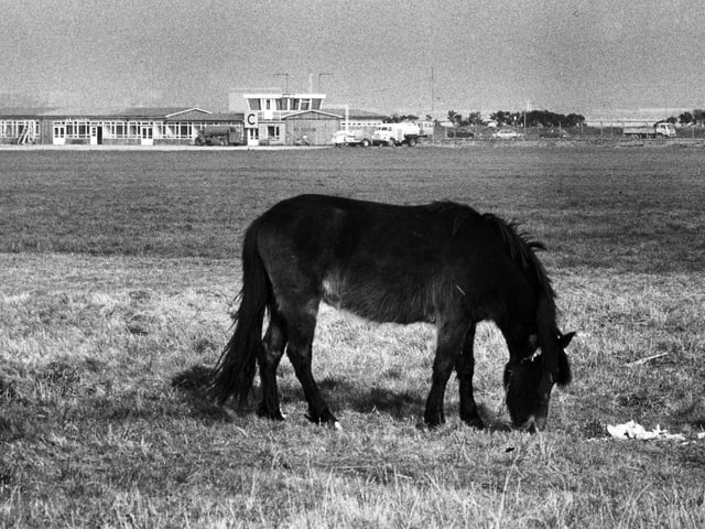 Portsmouth Airport in March 1974.