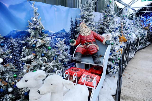 Santa's Woodland Walk at Keydell Nurseries in Horndean
