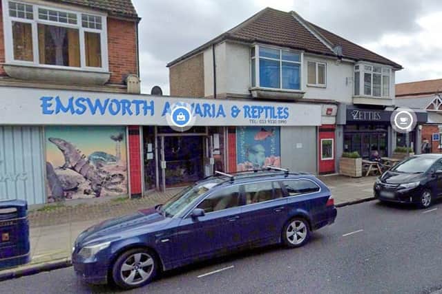 Emsworth Aquaria and Reptiles, based in Havant Road, Portsmouth, said their male Australian Water Dragon had been stolen. Pic Google