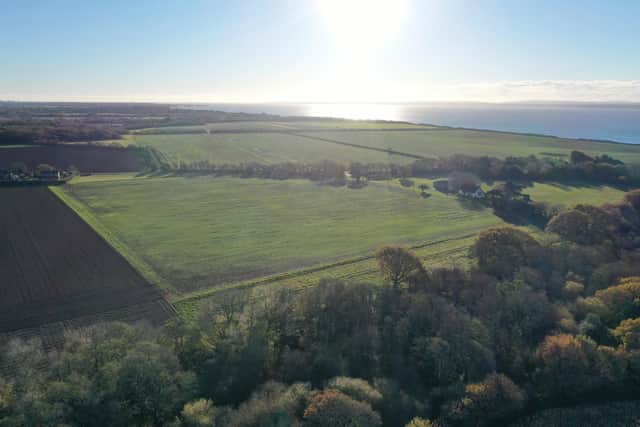 An aerial view of Upper Brownwich Farm. Picture: CPRE Hampshire