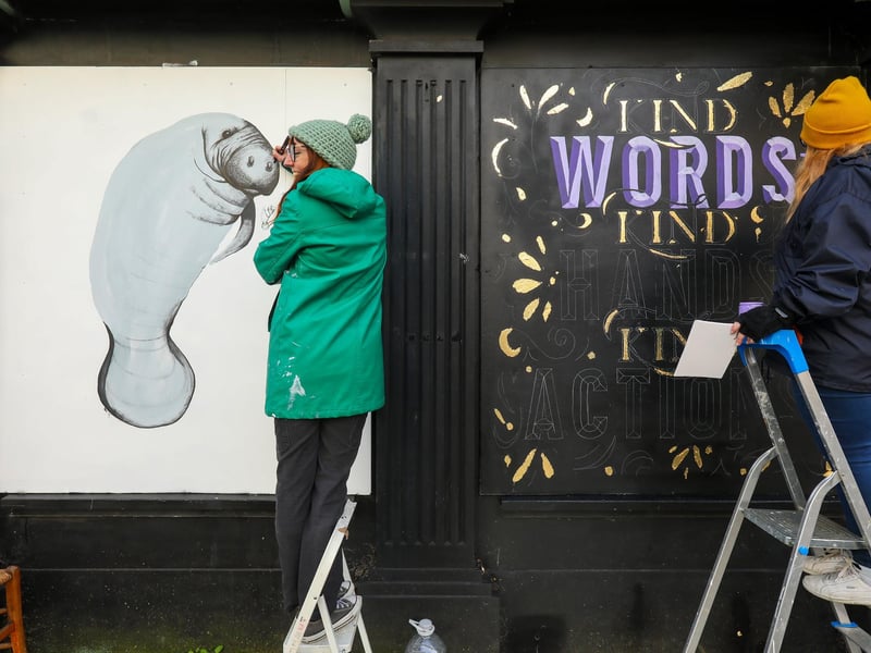 Sadie Were, left, and Frustrated Creative (aka Holly Milner) at work. Ladyjam, a female only street art event in Osborne Road, Southsea
Picture: Chris Moorhouse (jpns 270224-12)