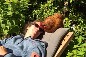 Roughly 60,000 hens find new homes every year under British Hen Welfare Trust support. Picture: British Hen Welfare Trust.