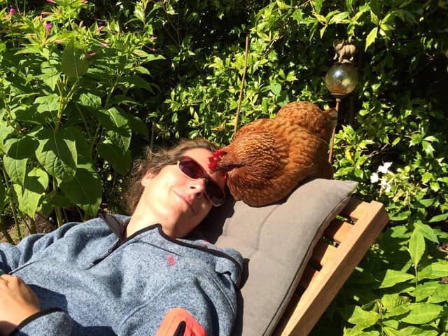 Roughly 60,000 hens find new homes every year under British Hen Welfare Trust support. Picture: British Hen Welfare Trust.
