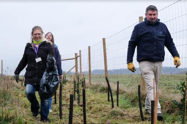 Volunteers help to plant a new woodland in Leigh Park. Photo: Portsmouth Water