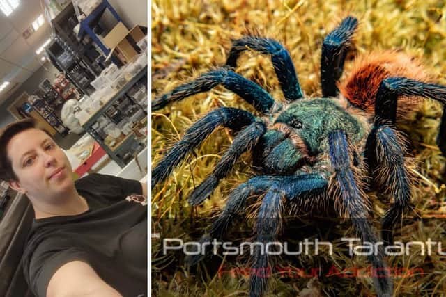 Danielle Hardham, owner of Portsmouth Tarantulas is desperate to find a new base for her business