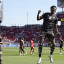 Pompey target and Jamaica international celebrates his goal against Saint Kitts and Nevis at the Gold Cup in USA. (Photo by Thearon W. Henderson/Getty Images)