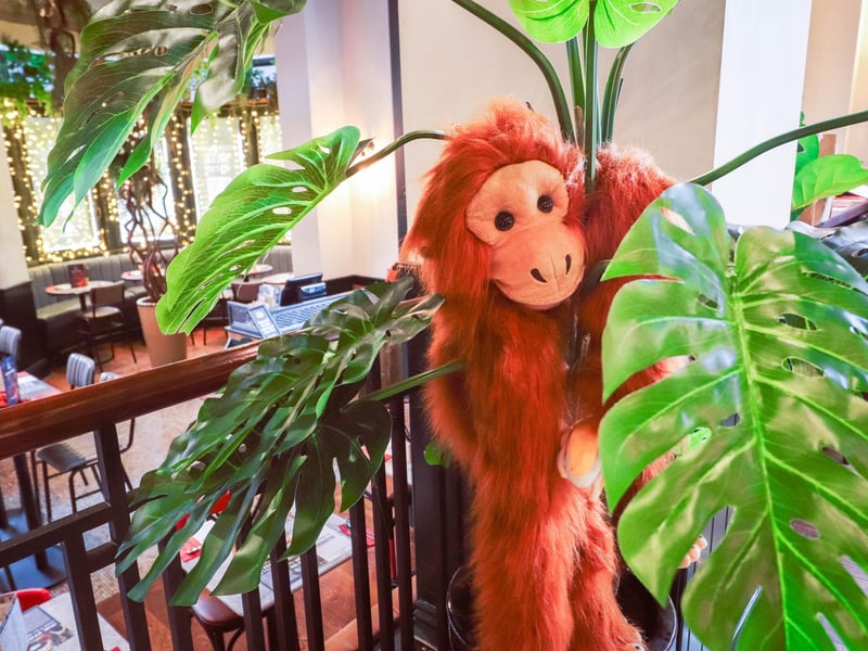 A look inside restaurant, Banana Tree in Gunwharf Quays, Portsmouth. Picture: Habibur Rahman