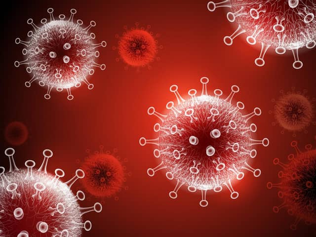 This is what coronavirus looks like. Picture: Shutterstock