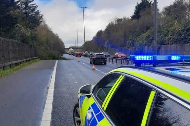 Fallen tree on the M27. Pic hants police