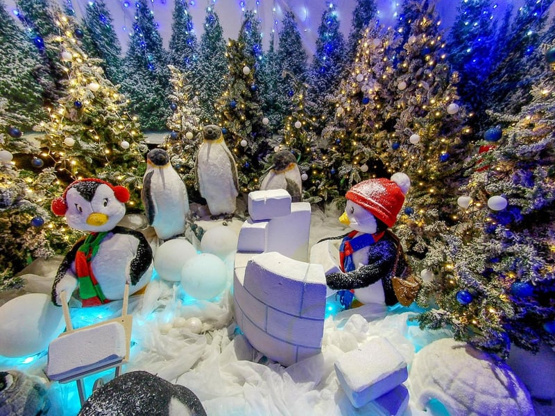 The popular Christmas Woodland Walk opened at Keydell Nurseries in Horndean on Friday, November 15.  Picture: Habibur Rahman