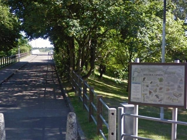 Hilsea Lines is a brilliant place to walk your dog.