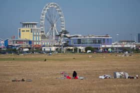 Rubbish left on Southsea Common on Friday morning, June 26, after the hottest day of the year. Picture: Habibur Rahman