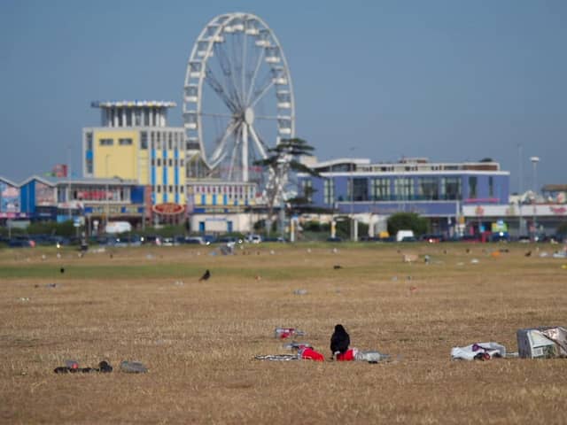 Rubbish left on Southsea Common on Friday morning, June 26, after the hottest day of the year. Picture: Habibur Rahman