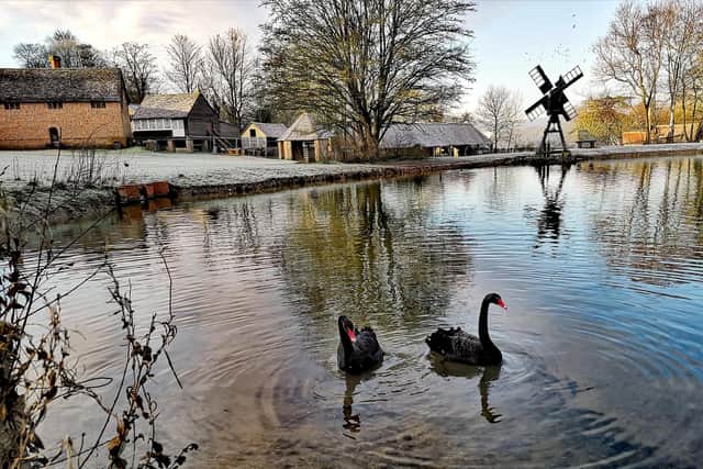 The popular outdoor museum has had cut 20 per cent of its staff.

Picture: Piotr Dlugaszek