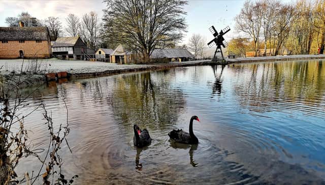 The popular outdoor museum has had cut 20 per cent of its staff.
Picture: Piotr Dlugaszek
