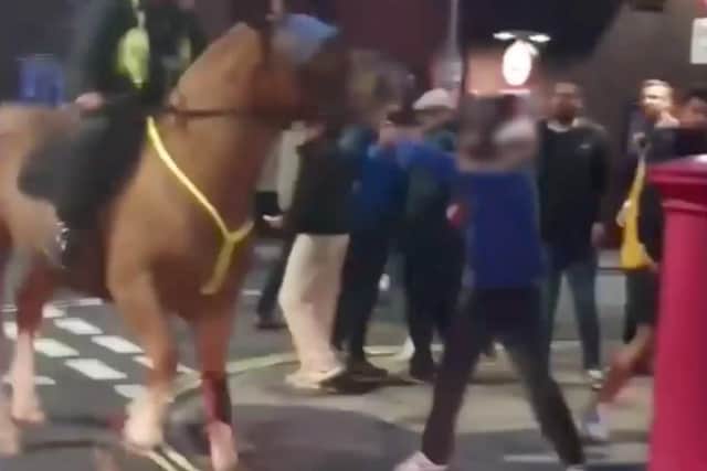 Former Ukip council candidate in Portsmouth Derek Jennings punches police horse Luna three times in the face before Portsmouth v Southampton