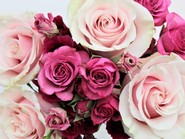 What do you have planned for Valentine's Day?