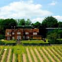 Established in 1952 by Major-General Sir Guy Salisbury-Jones, Hambledon Vineyard is England's oldest commercial vineyard. Picture: Hambledon Vineyard