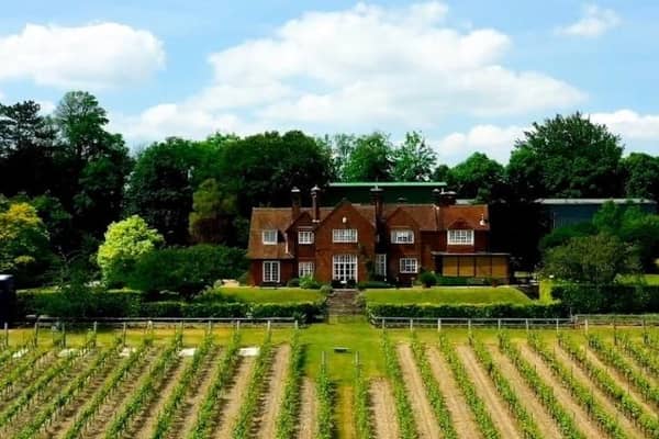 Established in 1952 by Major-General Sir Guy Salisbury-Jones, Hambledon Vineyard is England's oldest commercial vineyard. Picture: Hambledon Vineyard