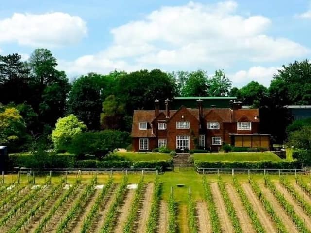 Established in 1952 by Major-General Sir Guy Salisbury-Jones, Hambledon Vineyard is England's oldest commercial vineyard. Picture: Hambledon Vineyard
