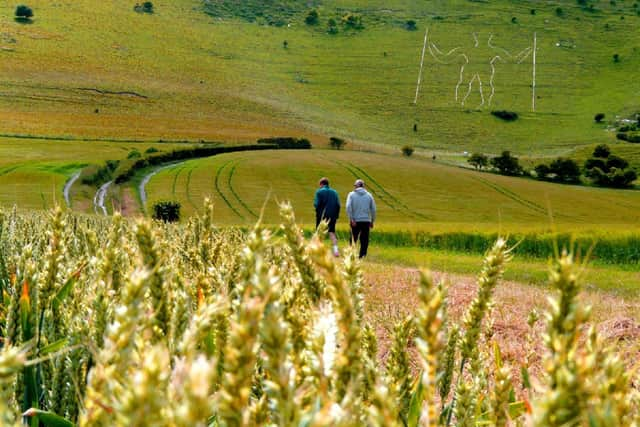 Long Man of Wilmington, East Sussex.