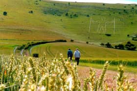 Long Man of Wilmington, East Sussex.