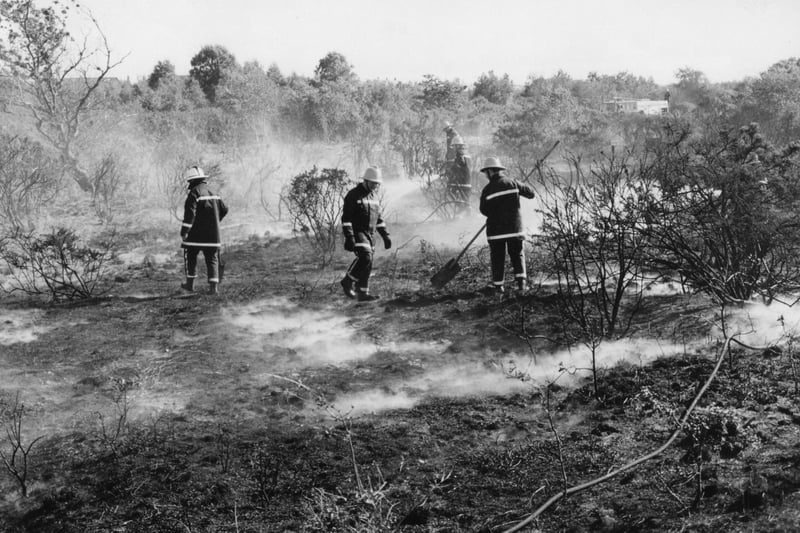 Fire-fighters from Gosport fire station, dousing the burnt five hectares of peat gorselands at Browndown Range in May 1995. The News PP5540