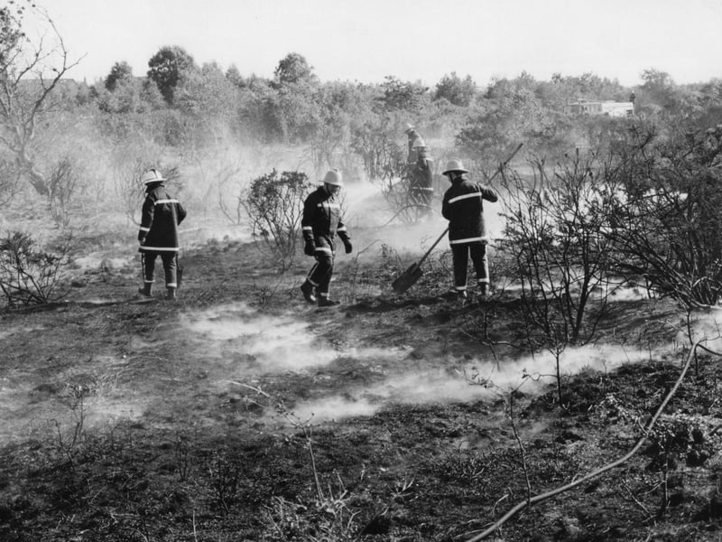 Fire-fighters from Gosport fire station, dousing the burnt five hectares of peat gorselands at Browndown Range in May 1995. The News PP5540