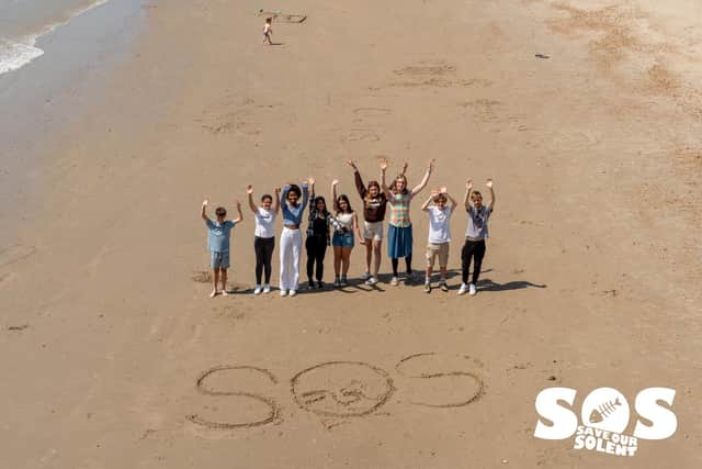 The 'Save our Solent' campaign will specifically target Southern Water.