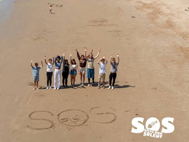 The 'Save our Solent' campaign will specifically target Southern Water.