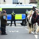 A large crowd turned up for the Wickham Horse Fair today despite it being cancelled. Picture: Roger Arbon/Solent News & Photo Agency