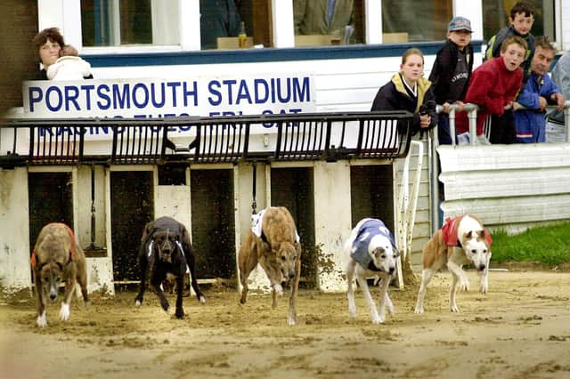 A night out at the dogs - Portsmouth Greyhound Stadium, Target Road, Tipner, 2001. Picture: Michael Scaddan 012884_0075