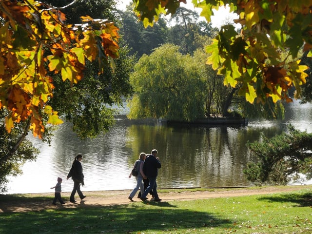 With its accessible paths around the Heath Lake and playground situated right next to the heath itself, Petersfield Heath is a great place to visit on a spring day - and the great news is that it even has a cafe, toilet facilities and a playpark Just make sure you bring food for the ducks and geese!Picture: Anne Purkiss