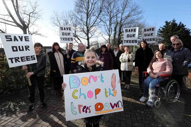 Residents of Military Road, Hilsea, who are at odds with Portsmouth City Council which wants to chop these trees down. Eden Graham, 8, front.
Picture: Chris Moorhouse     (010320-12)