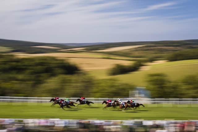 Enjoy all the action at the Qatar Goodwood Festival