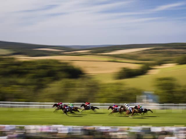 Enjoy all the action at the Qatar Goodwood Festival