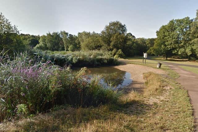 The sexual assault took place on Southampton Common. Picture: Google Maps