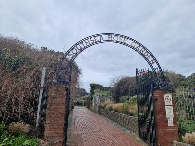 The rose garden at the former site of Lumps Fort in Southsea is a beautiful place to relax and, in full bloom, has many varieties of roses to admire.