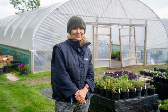 Managing director, Debbie Lyall at Staunton Country Park. Picture: Habibur Rahman