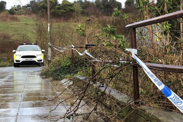 Police outside Meadowsweet Way, in Wymering, where a party descended into violence. Photo: Tom Cotterill
