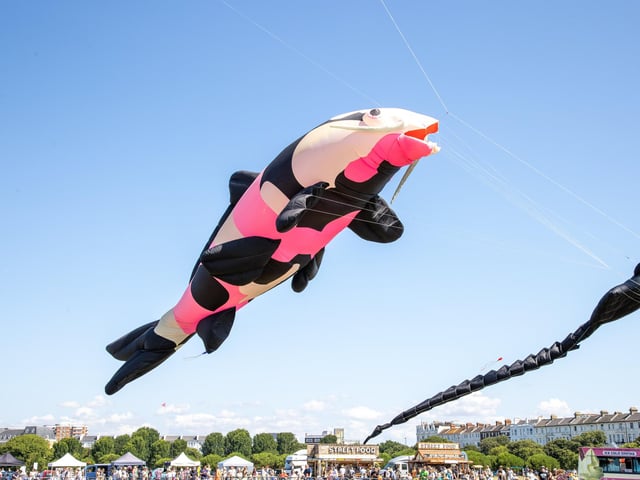 Pictured - Incredible kites on display at the Portsmouth Kite FestivalPhotos by Alex Shute