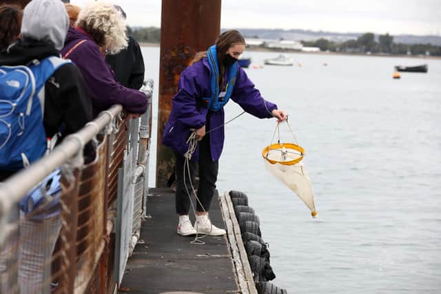 A project has been launched to find Portsmouth's rubbish 'hotspots'. Picture: Sam Stephenson