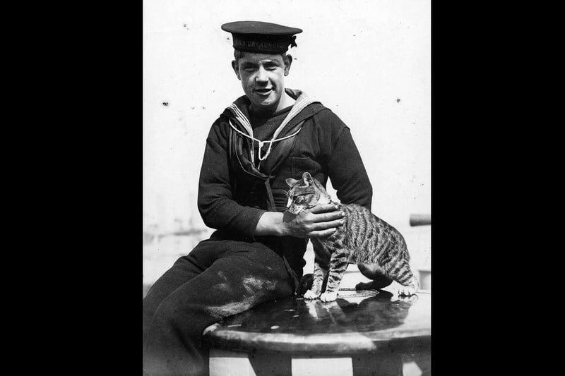 Scatters the cat onboard HMS Dreadnought with rating.