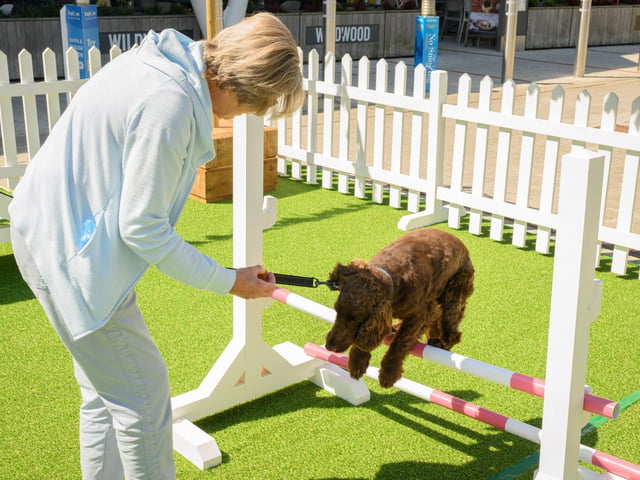 Lorraine Nimmo helps guide her dog, Frankie, over the jump.Picture: Keith Woodland (250521-35)