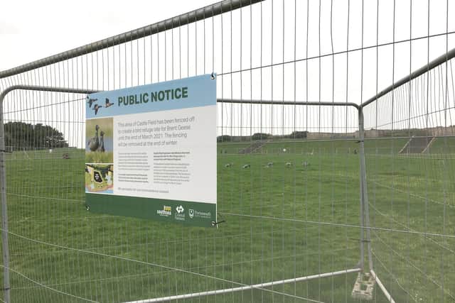 The brent geese sanctuary and decoy birds that were set up in Castle Field. Pictured on November 30.
Picture: Fiona Callingham