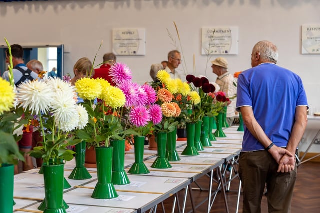 Inspecting the blooms at the Purbrook Horticultural Society summer show. Picture: Mike Cooter (210822)